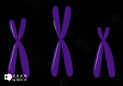 3号染色体缺失多少mb算严重？患儿聪明与否一看便知